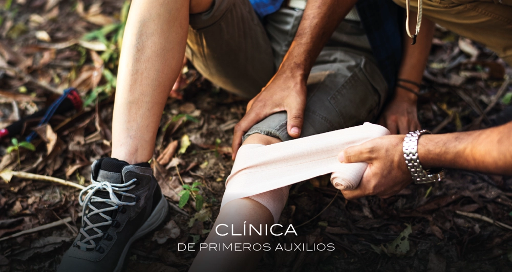 galeria11_Mesa de trabajo 1