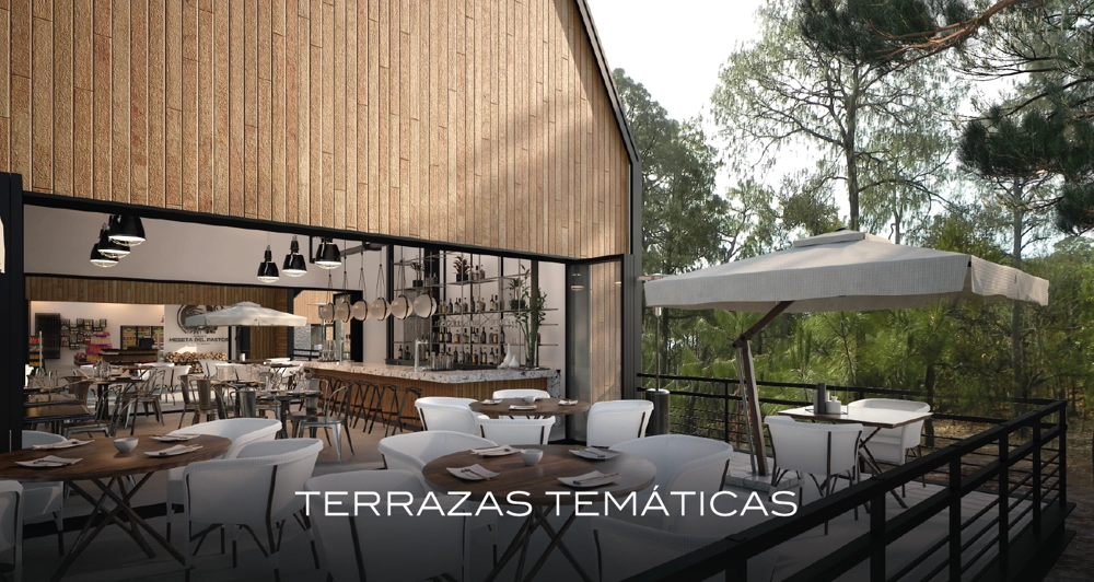 galeria13_Mesa de trabajo 1