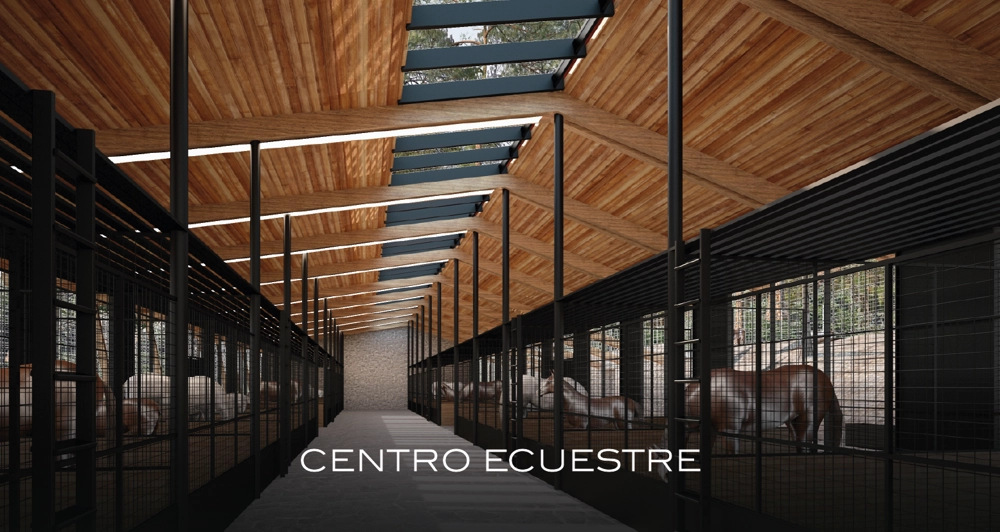 galeria15_Mesa de trabajo 1