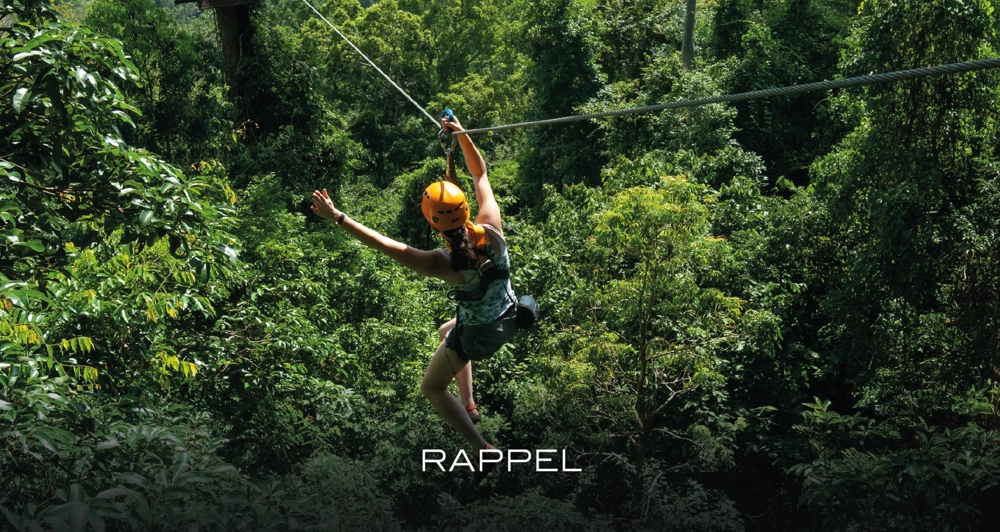 galeria17_Mesa de trabajo 1