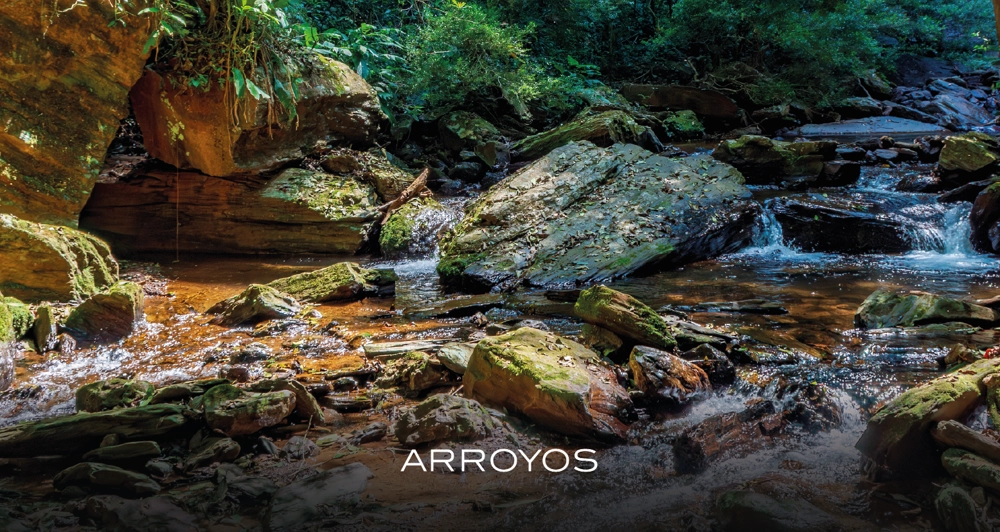 galeria18_Mesa de trabajo 1