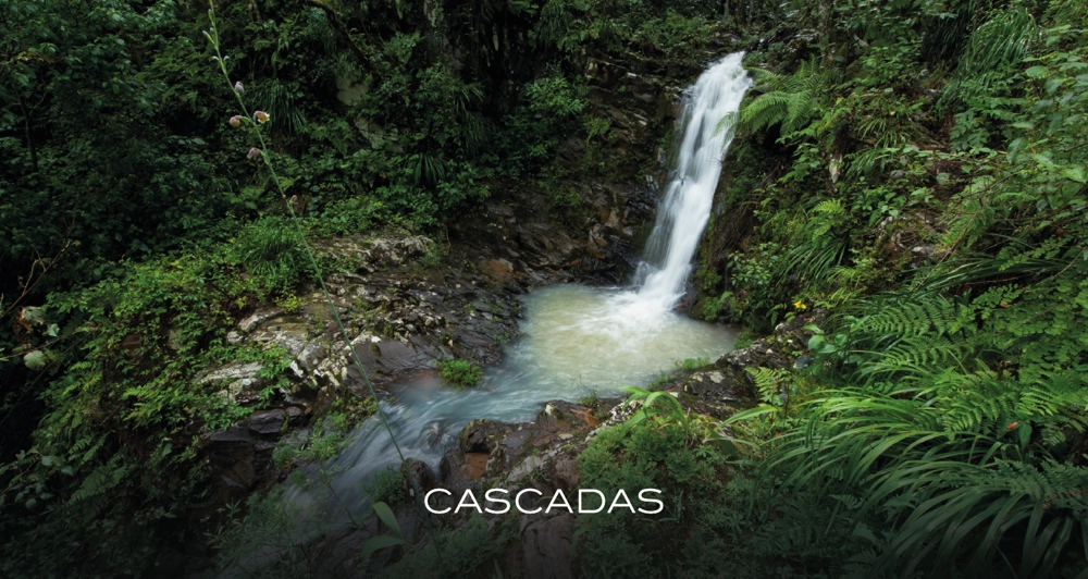 galeria20_Mesa de trabajo 1