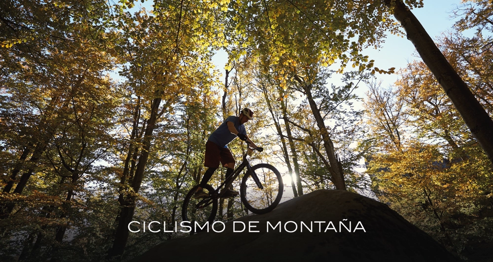 galeria26_Mesa de trabajo 1