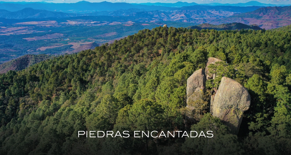 galeria31_Mesa de trabajo 1